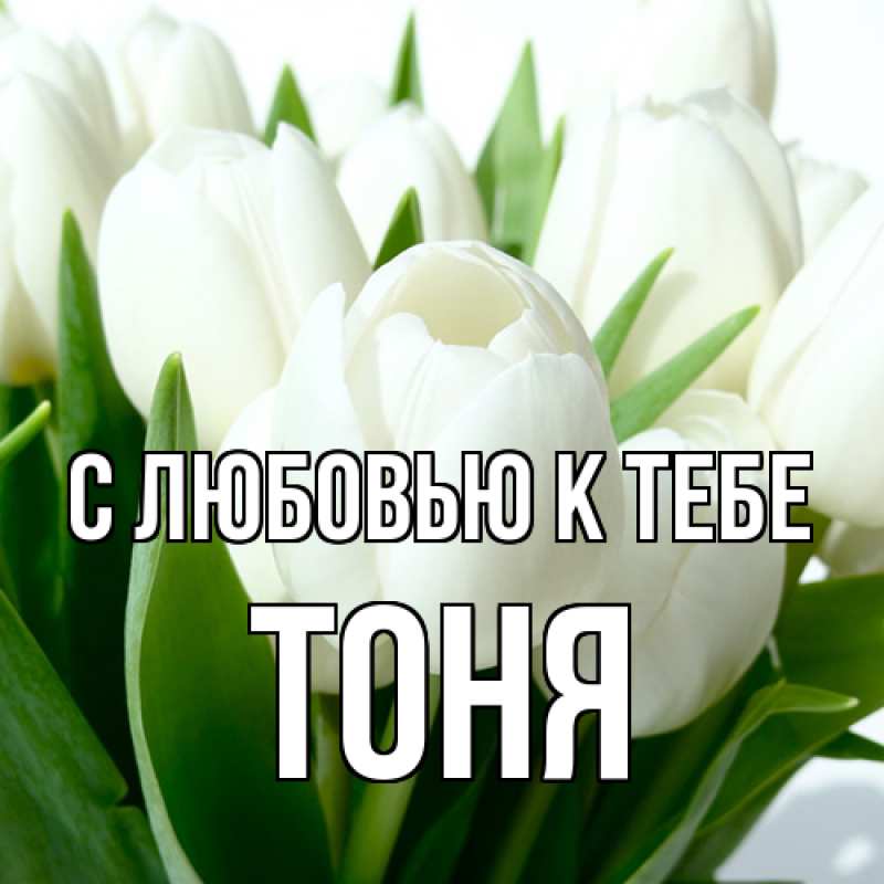 Картинка С любовью к тебе, Тоня
