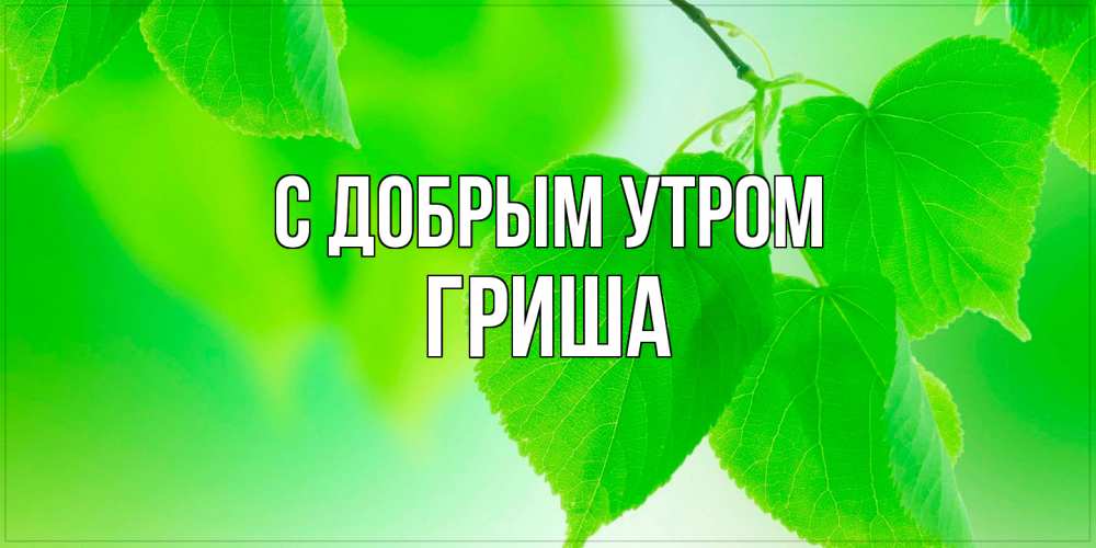Открытка  с именем. Гриша, С добрым утром  