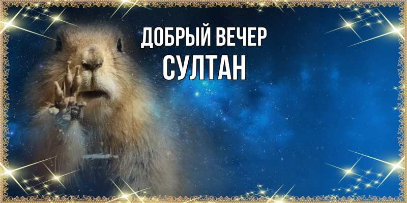 Картинка Добрый вечер, Султан