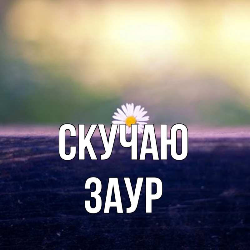 Картинка Скучаю, Заур