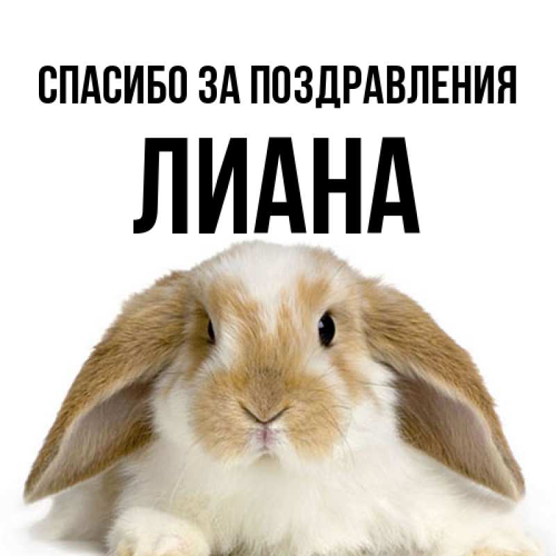 Картинка Спасибо за поздравления, Лиана