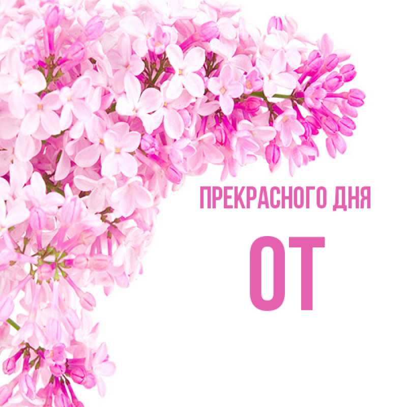 Картинка Прекрасного дня, От