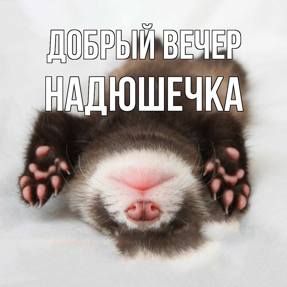 Открытка  с именем. Надюшечка, Добрый вечер  