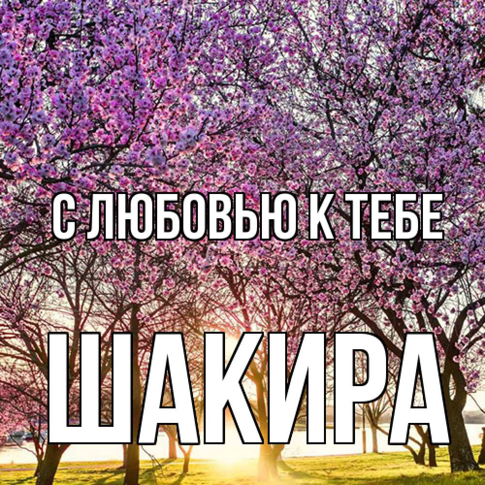 Открытка  с именем. Шакира, С любовью к тебе  