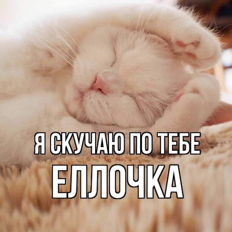 Картинка Я скучаю по тебе, Еллочка