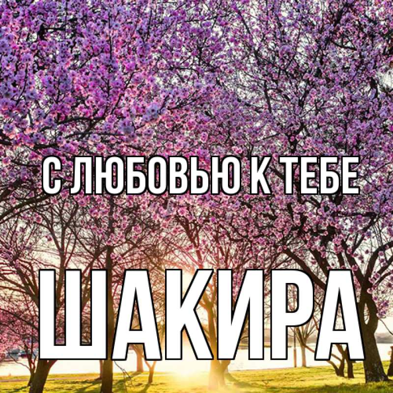 Картинка С любовью к тебе, Шакира