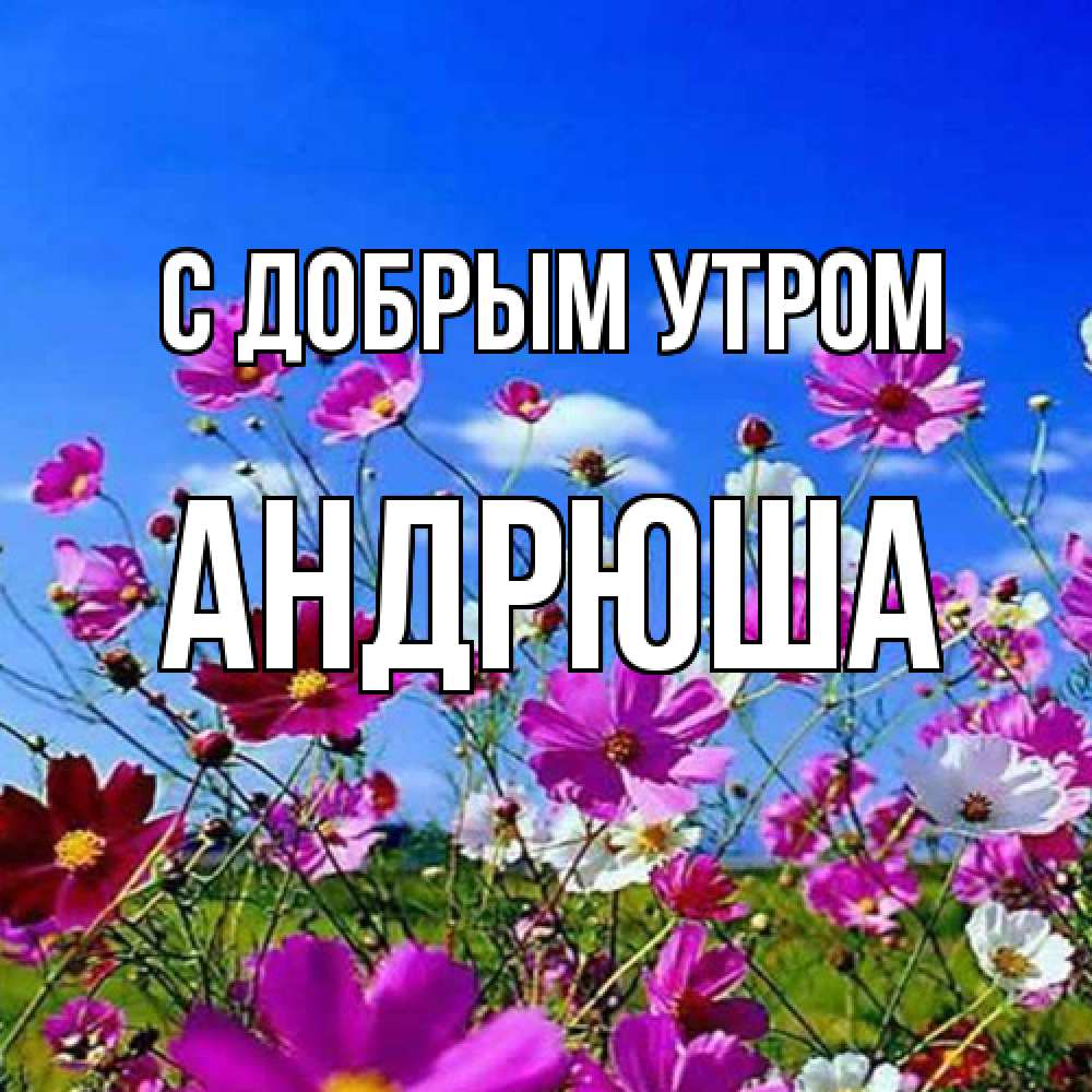 Открытка  с именем. Андрюша, С добрым утром  