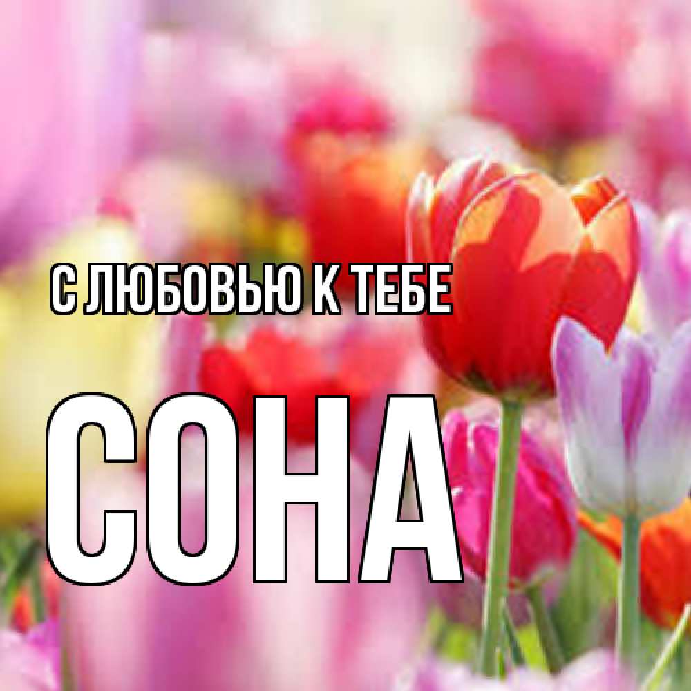 Открытка  с именем. СОНА, С любовью к тебе  