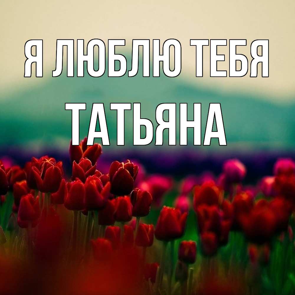 Открытка  с именем. Татьяна, Я люблю тебя  