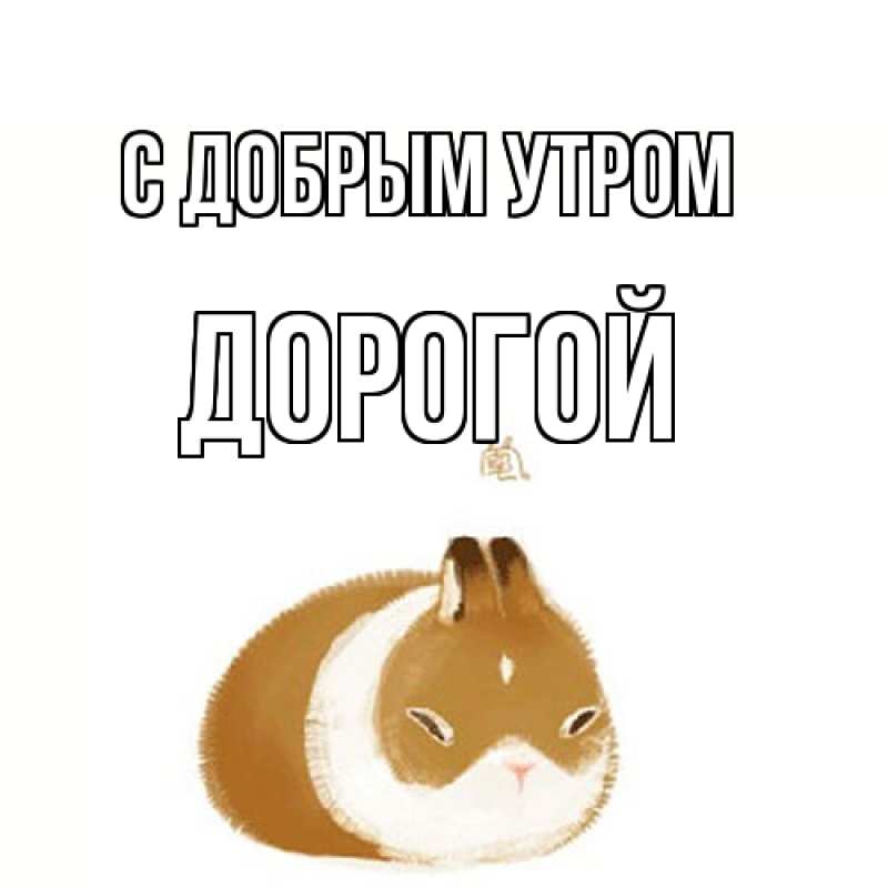 Картинка С добрым утром, Дорогой
