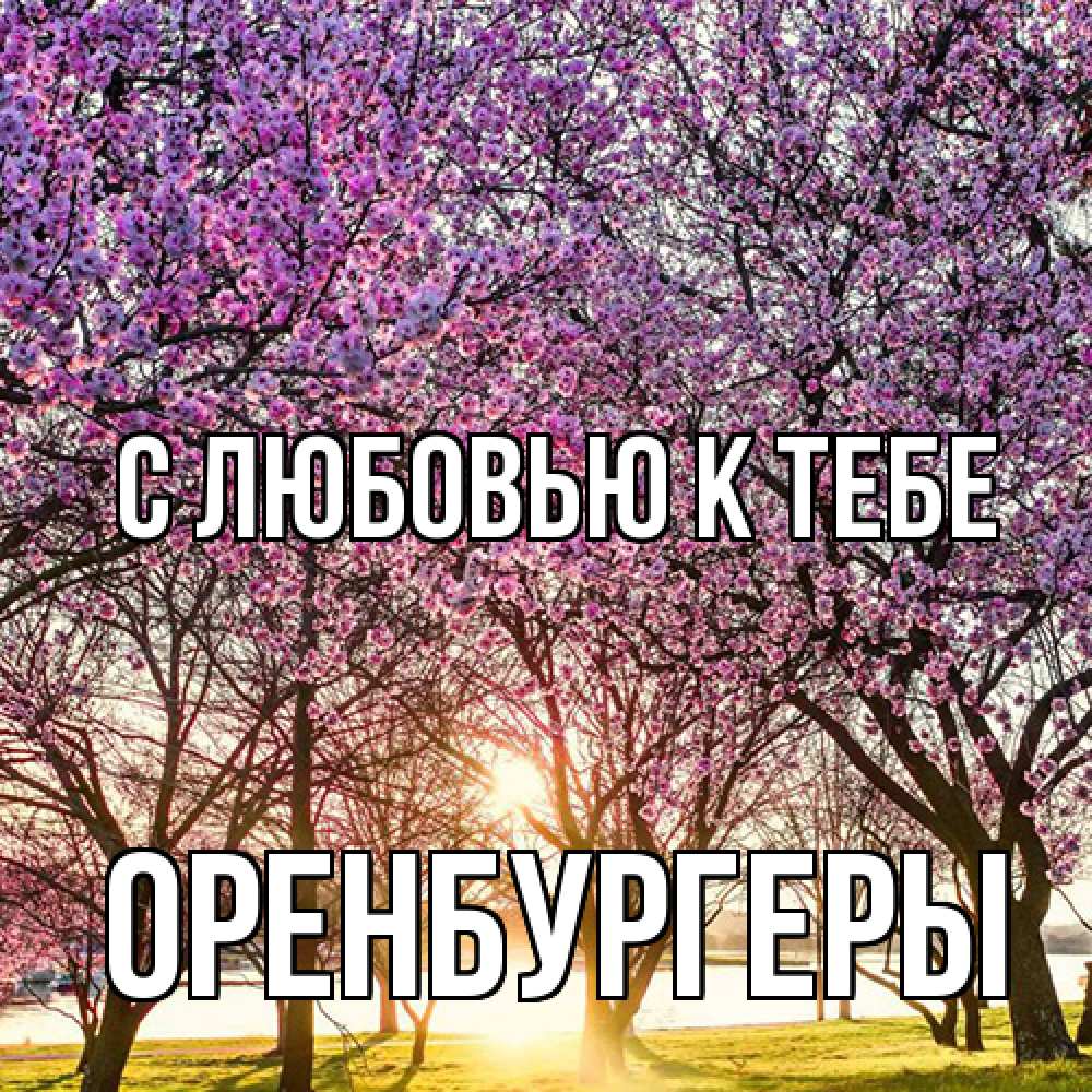 Открытка  с именем. Оренбургеры, С любовью к тебе  