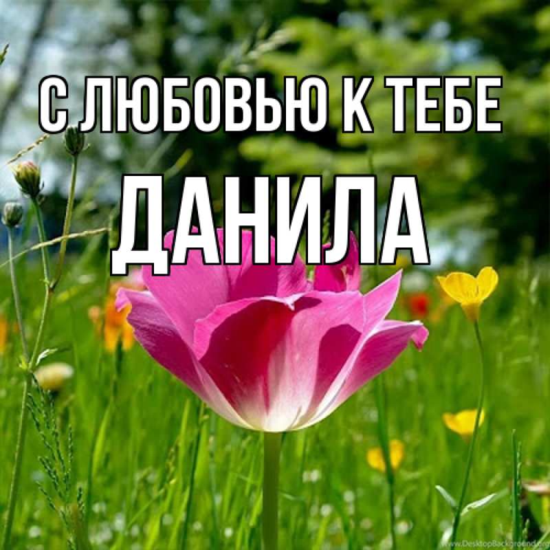 Открытка с именем, Данила, С любовью к тебе