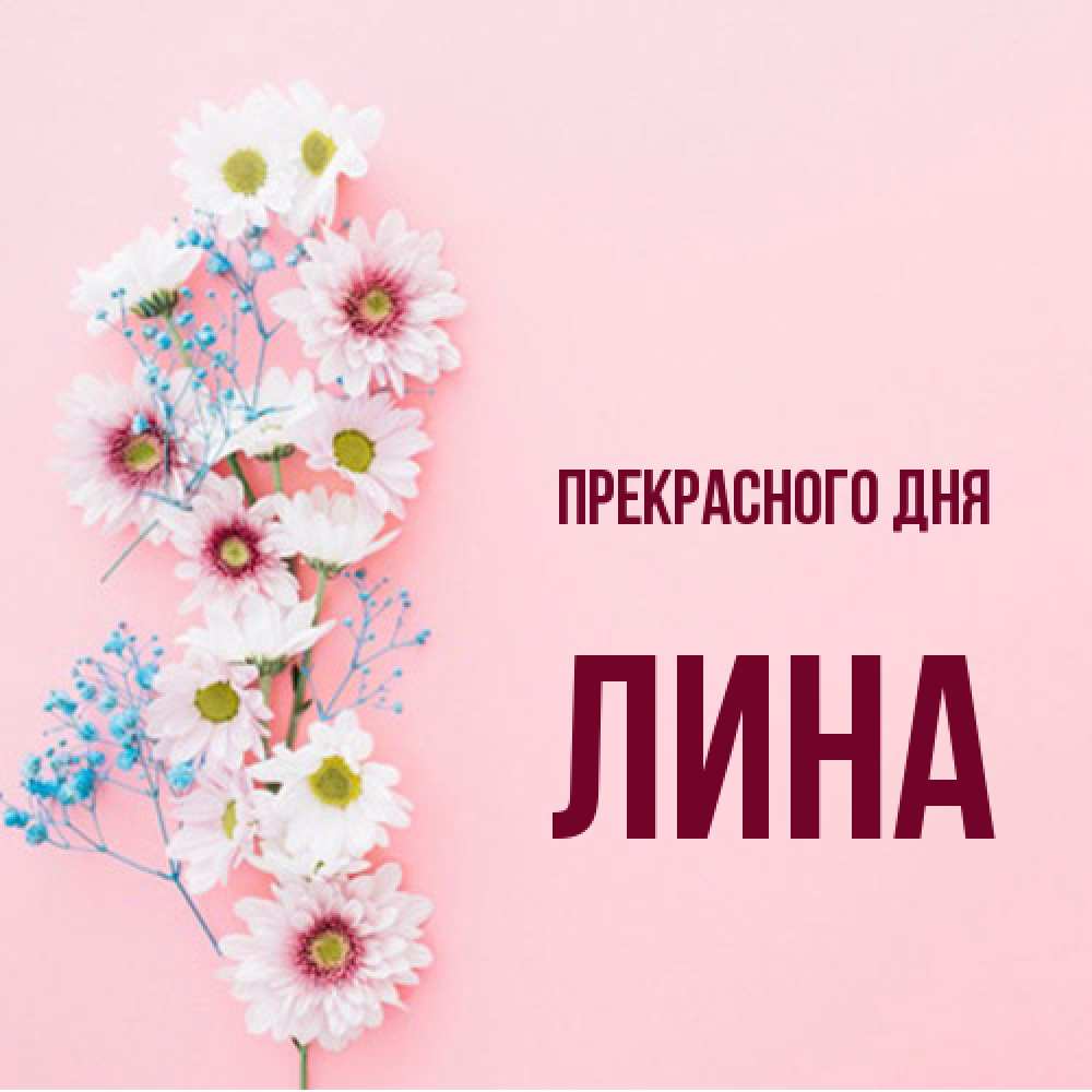 Открытка  с именем. Лина, Прекрасного дня  