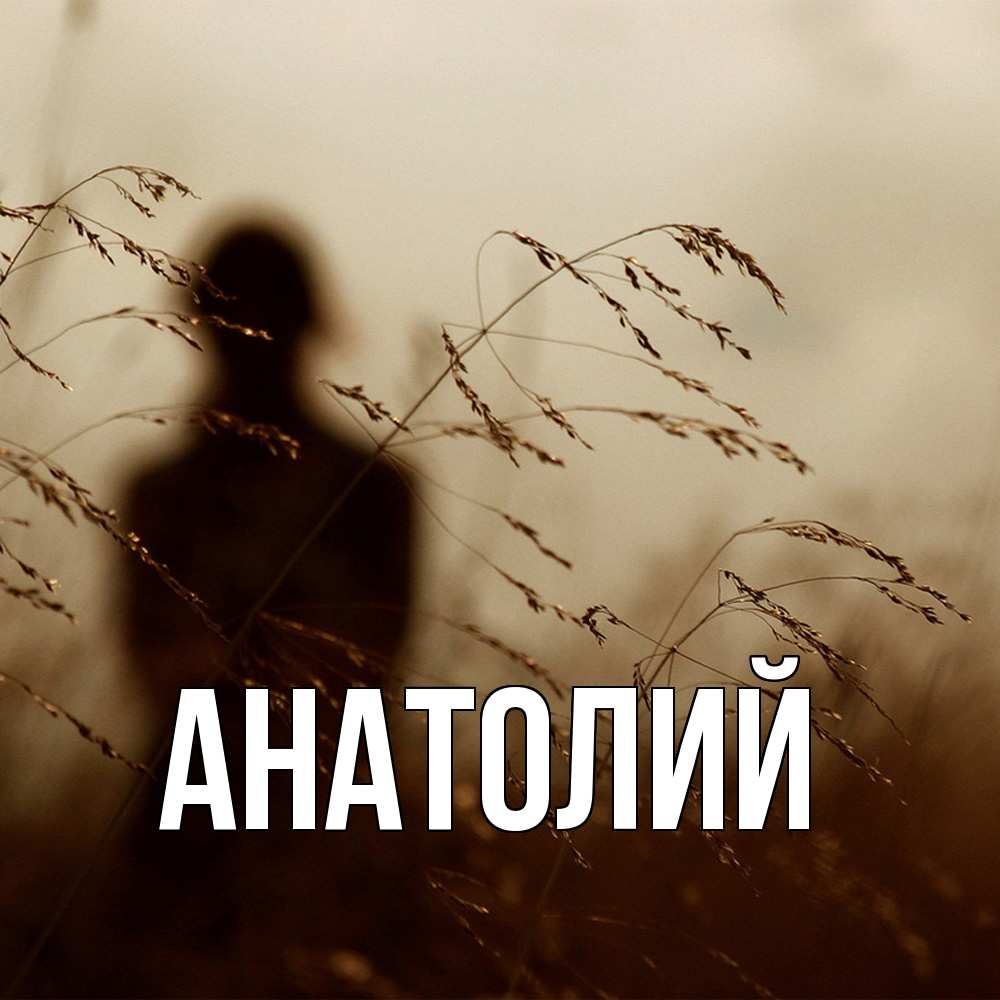 Открытка  с именем. Анатолий, Главная  