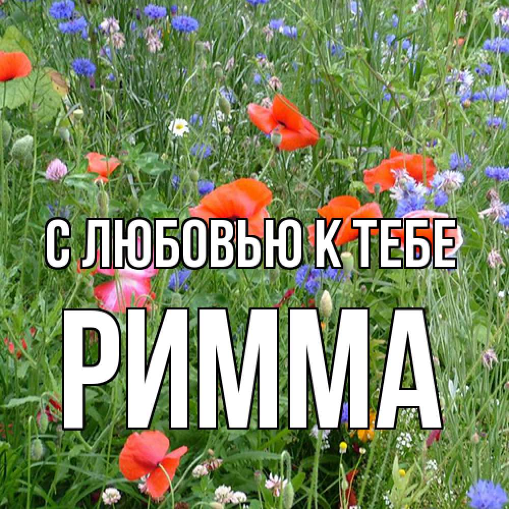 Открытка  с именем. Римма, С любовью к тебе  