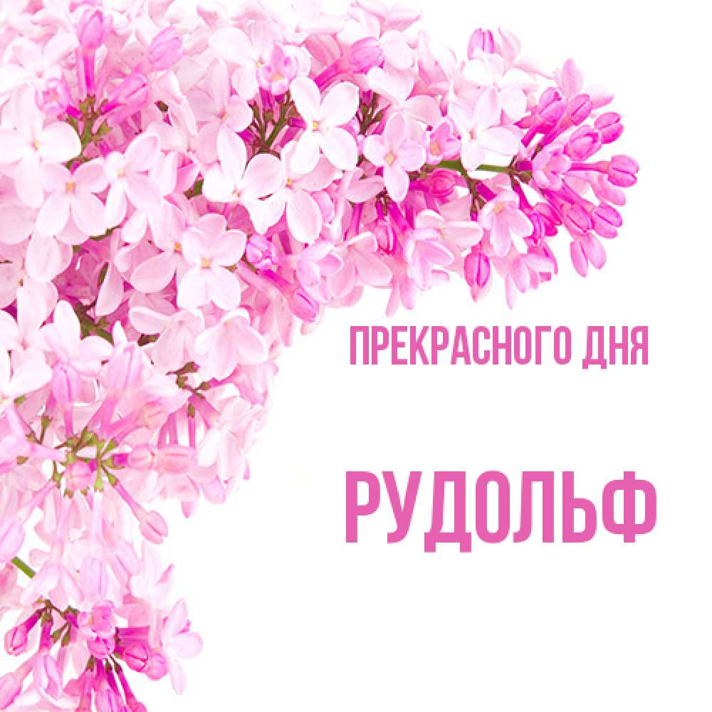 Открытка  с именем. Рудольф, Прекрасного дня  