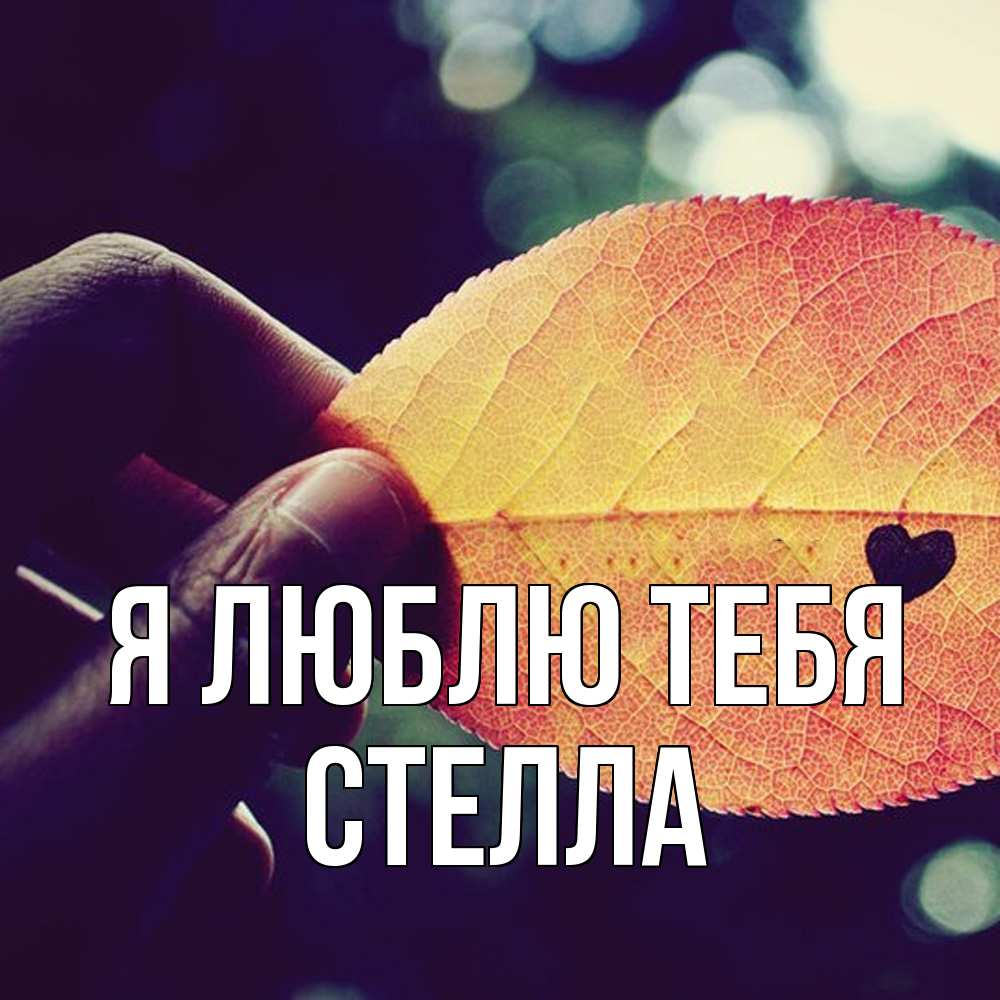 Открытка  с именем. Стелла, Я люблю тебя  