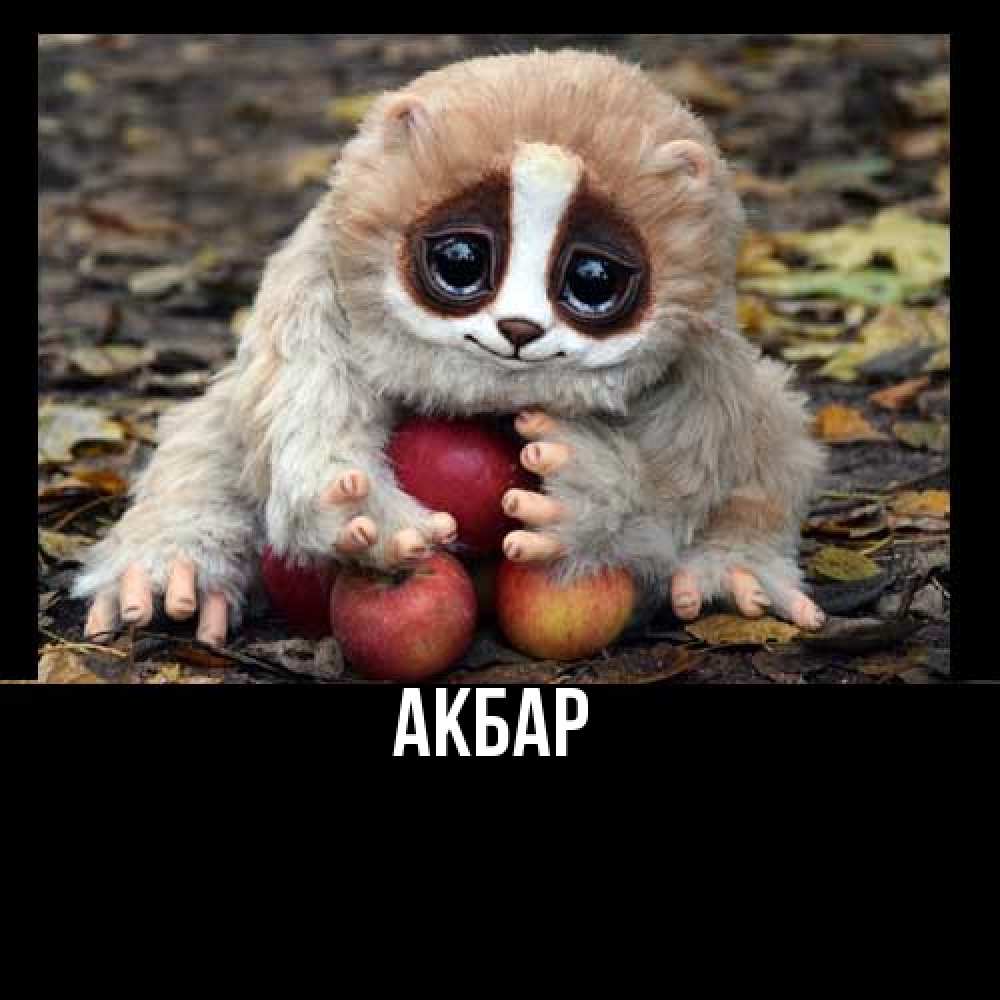 Открытка  с именем. Акбар, Главная  