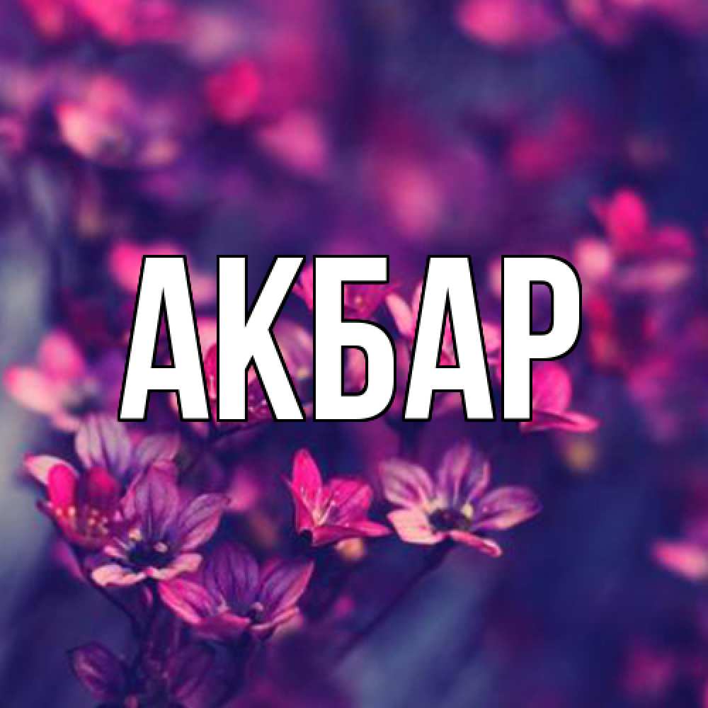 Открытка  с именем. Акбар, Главная  