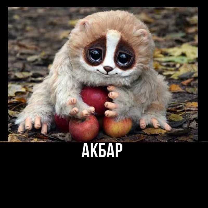 Картинка  с именем , Акбар