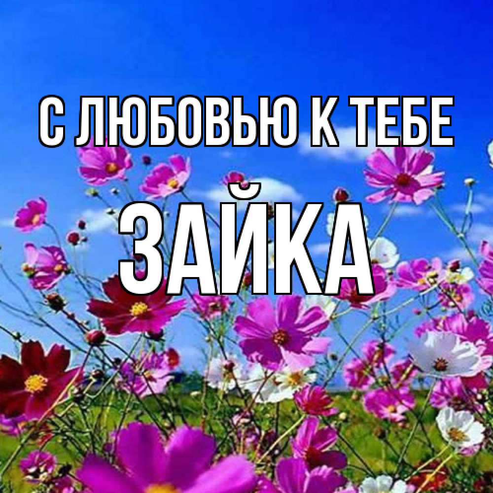 Открытка  с именем. Зайка, С любовью к тебе  