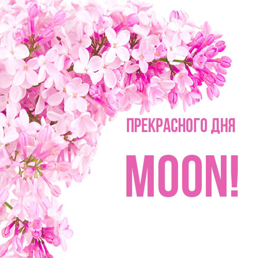 Открытка  с именем. Moon, Прекрасного дня  