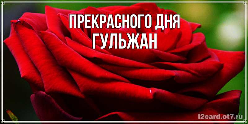 Картинка Прекрасного дня, Гульжан