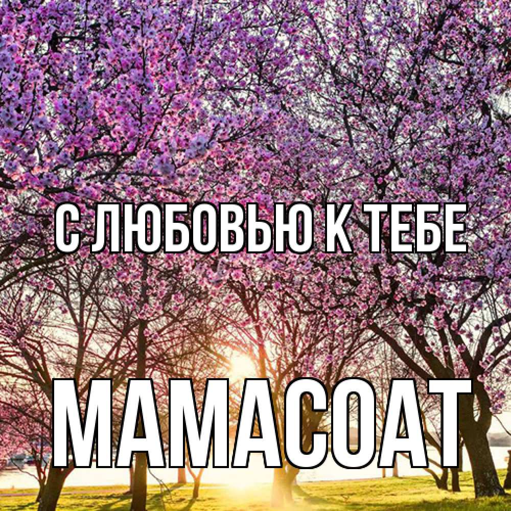 Открытка  с именем. Мамасоат, С любовью к тебе  