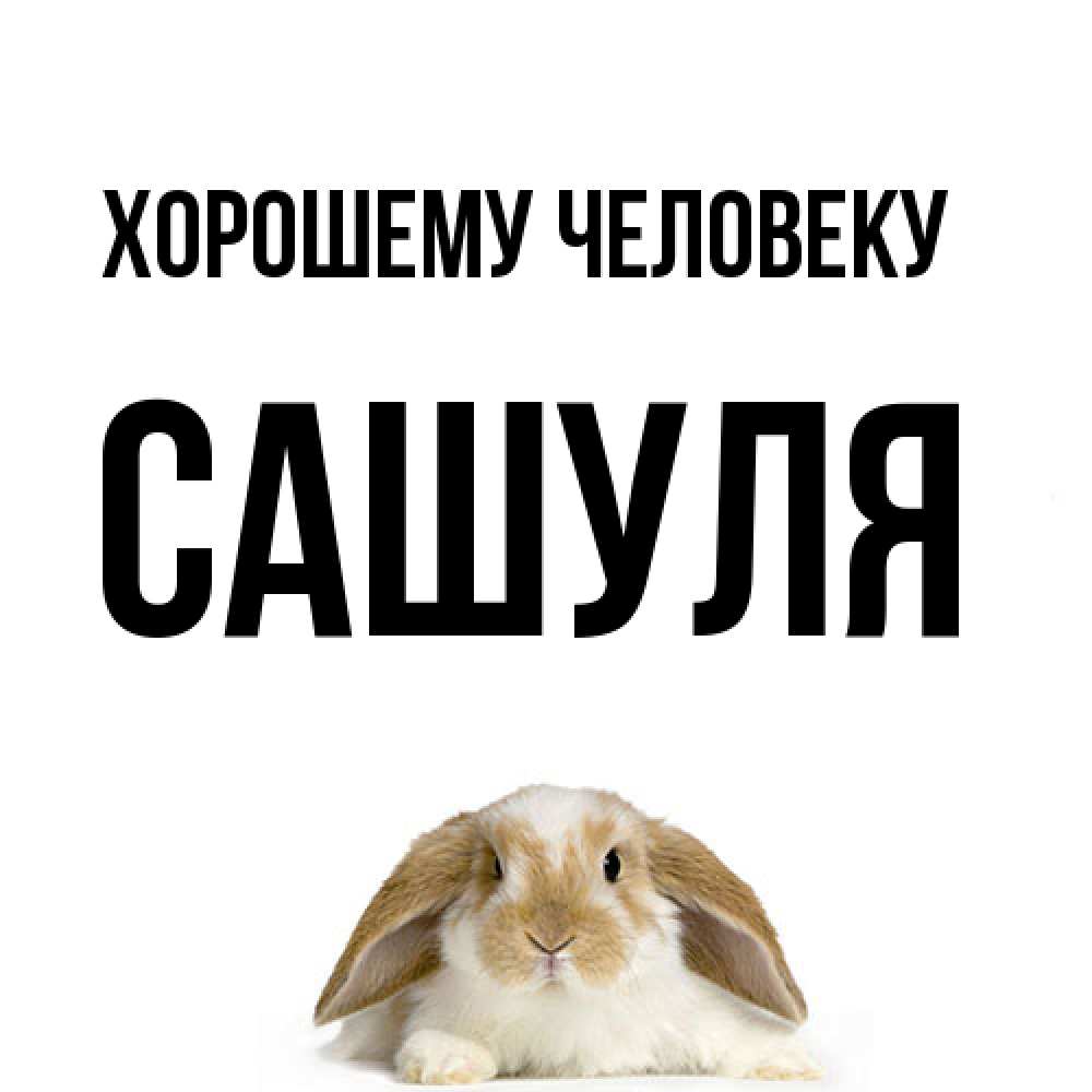 Открытка  с именем. Сашуля, Хорошему человеку  