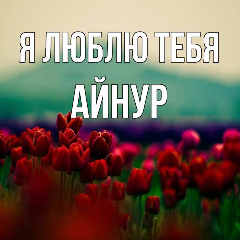 Картинка Я люблю тебя, Айнур