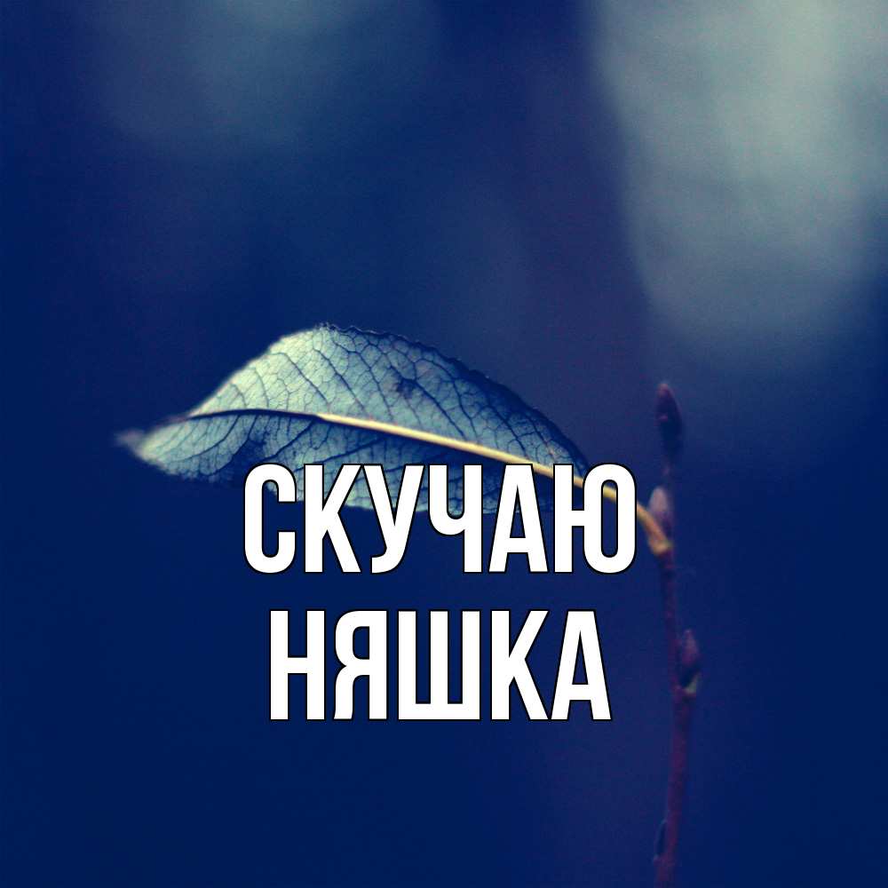 Открытка  с именем. Няшка, Скучаю  