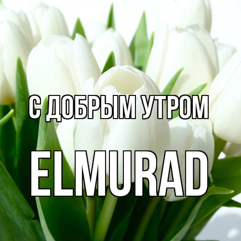 Открытка  с именем. Elmurad, С добрым утром  