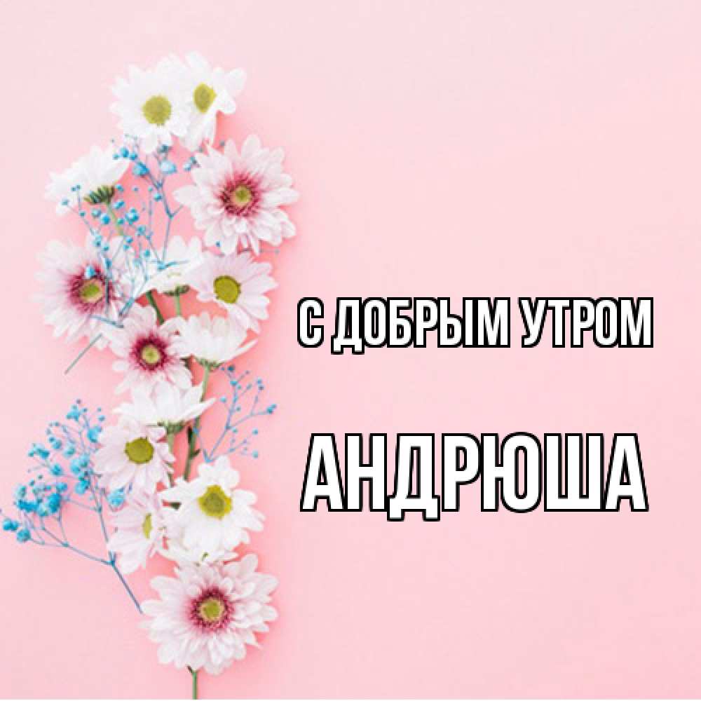 Открытка  с именем. Андрюша, С добрым утром  