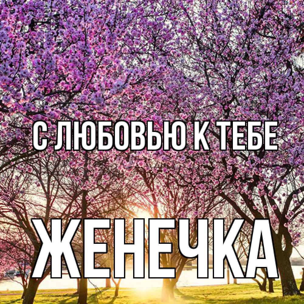 Открытка  с именем. Женечка, С любовью к тебе  