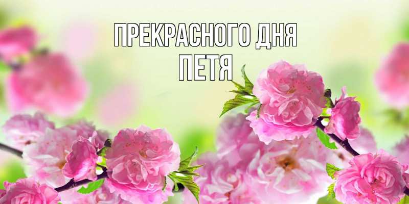 Картинка Прекрасного дня, Петя