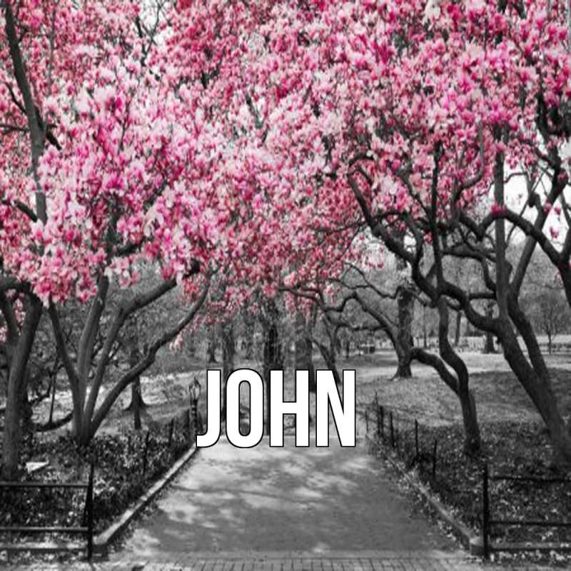 Картинка  с именем , John