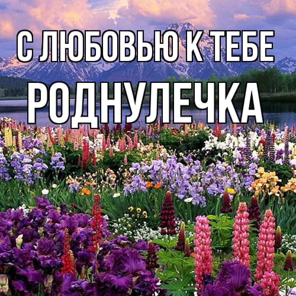 Открытка  с именем. Роднулечка, С любовью к тебе  