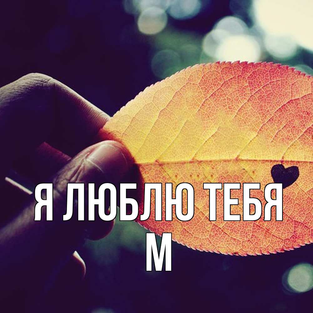 Открытка  с именем. М, Я люблю тебя  