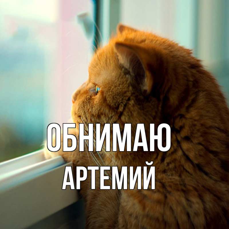 Картинка Обнимаю, Артемий