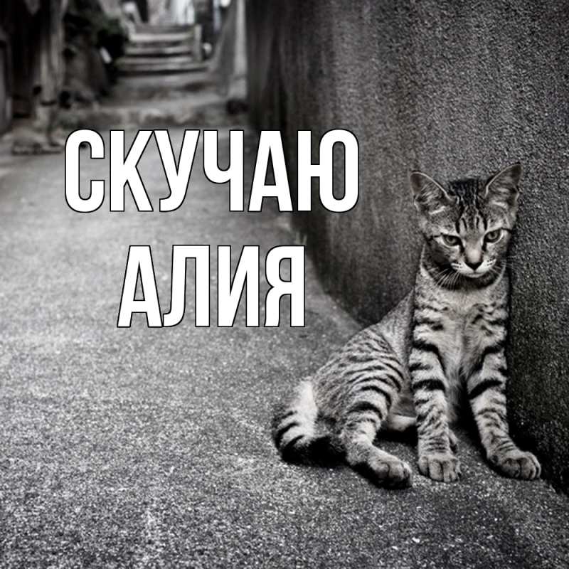 Картинка Скучаю, Алия
