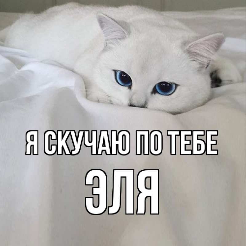 Картинка Я скучаю по тебе, Эля
