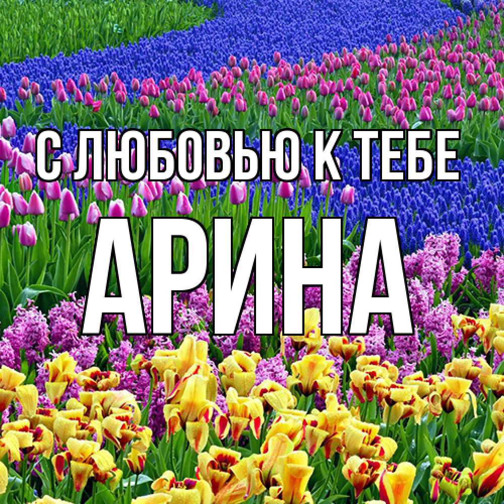 Открытка  с именем. Арина, С любовью к тебе  