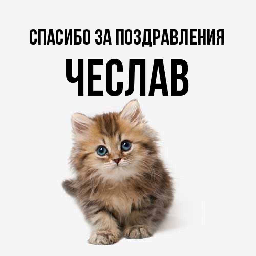 Открытка  с именем. Чеслав, Спасибо за поздравления  
