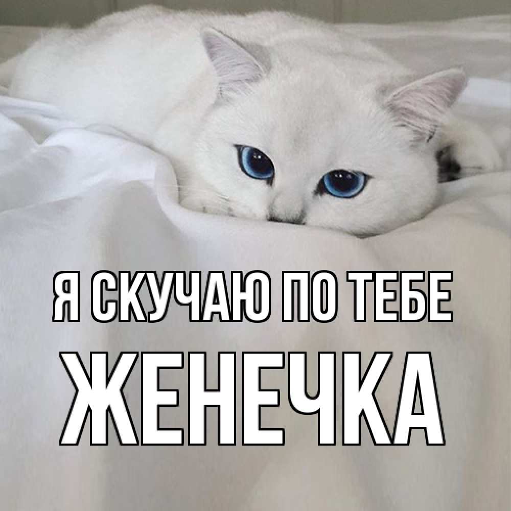 Открытка  с именем. Женечка, Я скучаю по тебе  