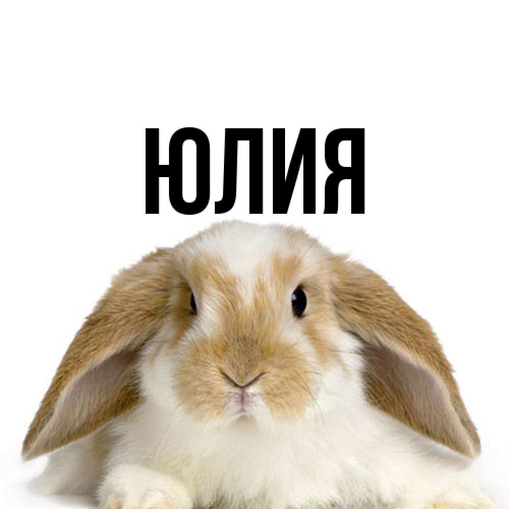 Открытка  с именем. Юлия, Главная  