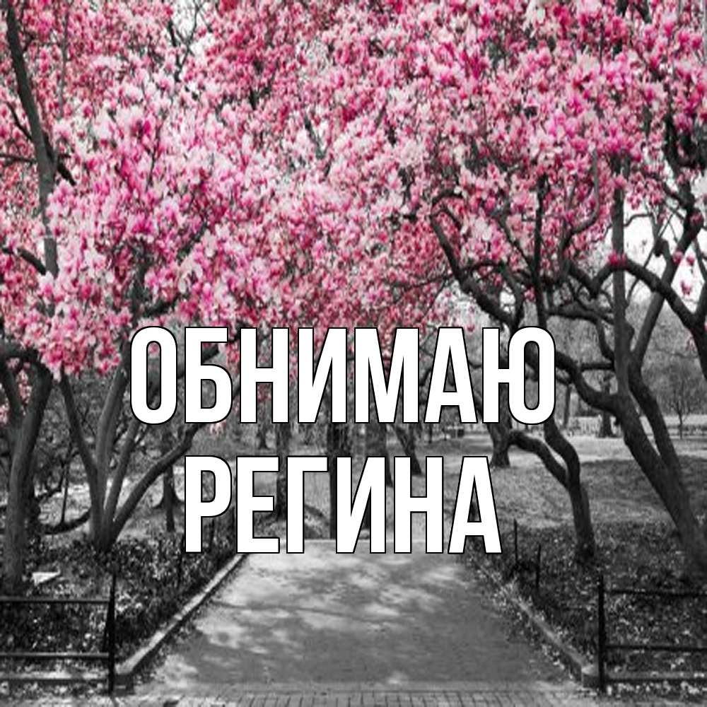 Открытка  с именем. Регина, Обнимаю  