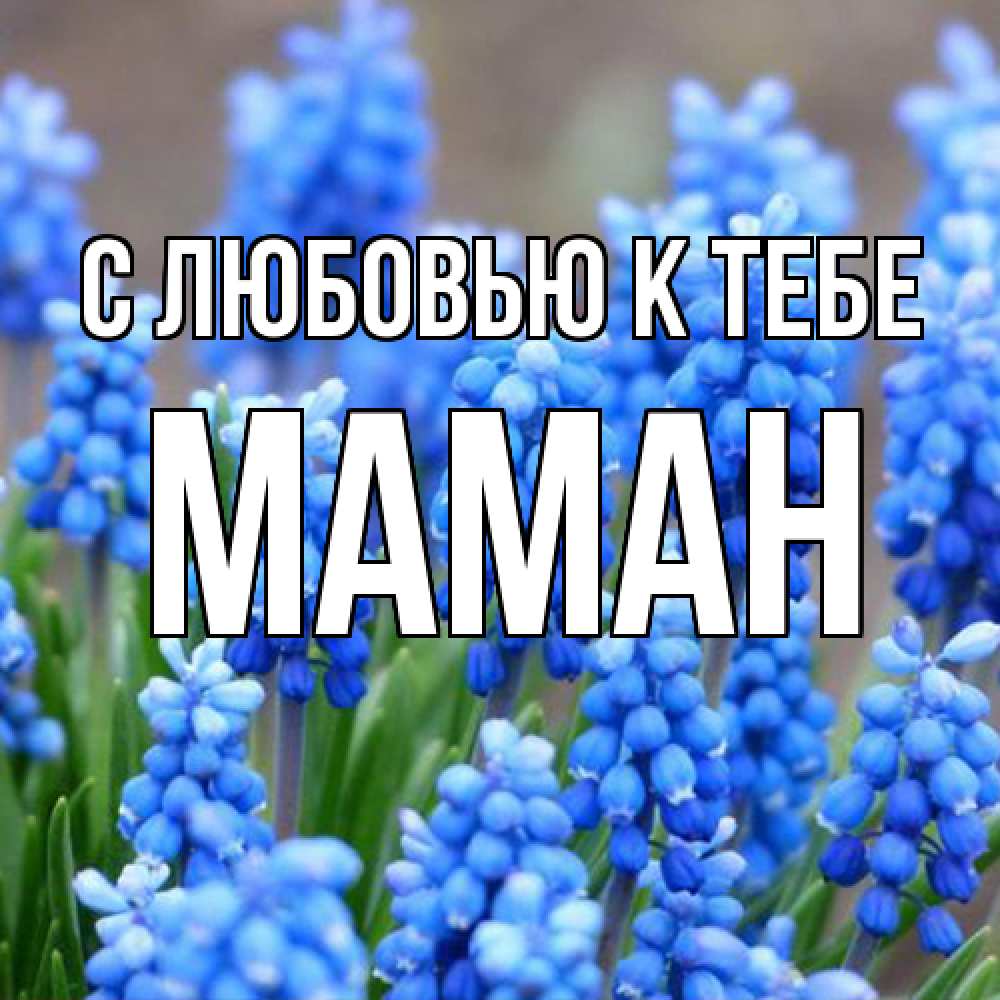 Открытка  с именем. Маман, С любовью к тебе  