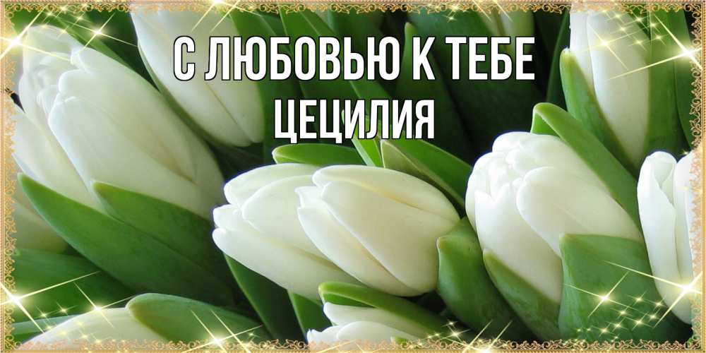 Открытка  с именем. Цецилия, С любовью к тебе  