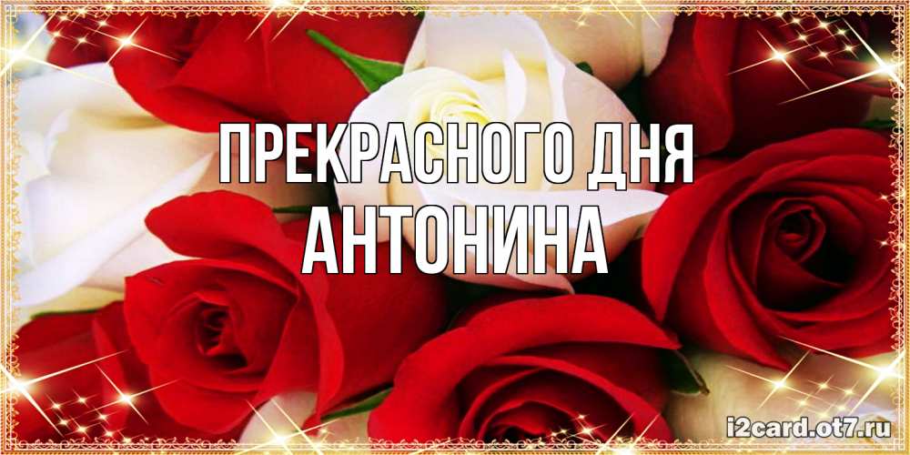 Открытка  с именем. Антонина, Прекрасного дня  