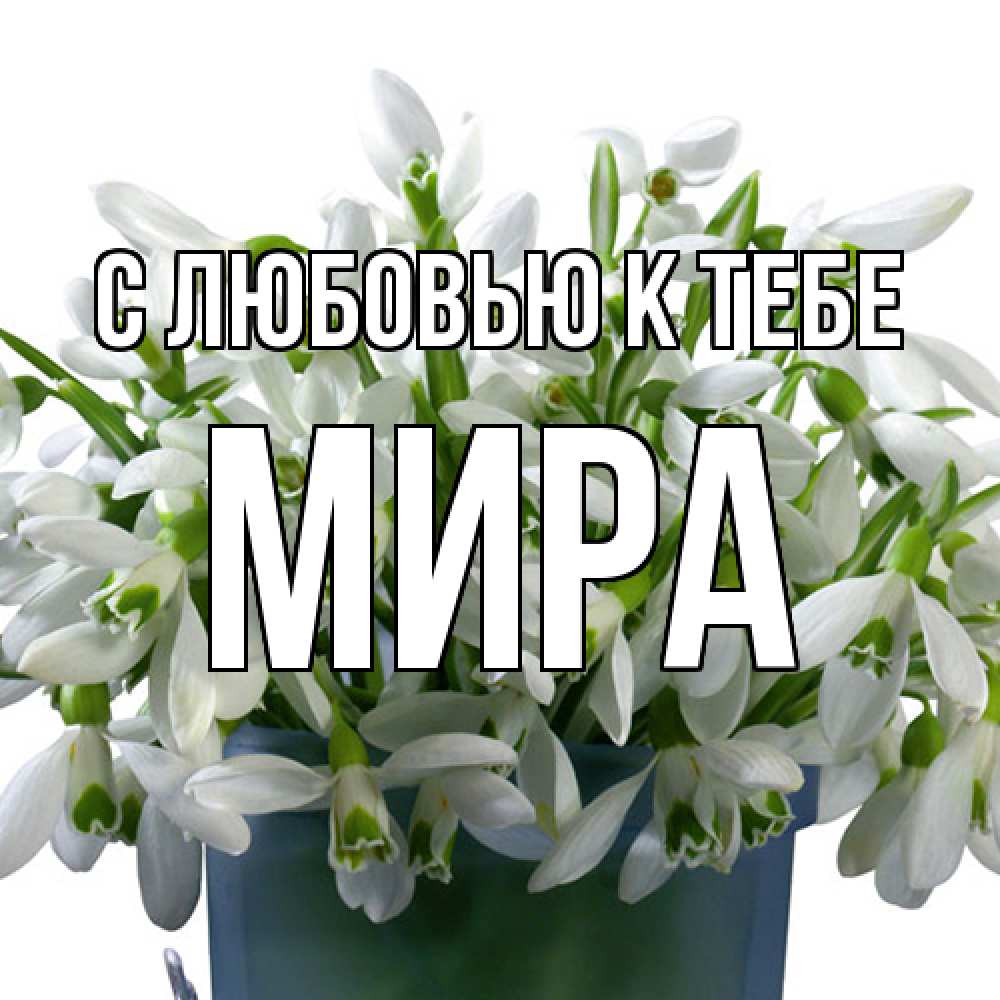 Открытка  с именем. Мира, С любовью к тебе  